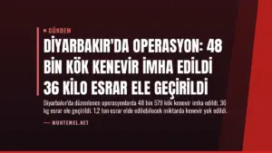 Diyarbakır'da Operasyon: 48 Bin Kök Kenevir İmha Edildi 36 Kilo Esrar Ele Geçirildi