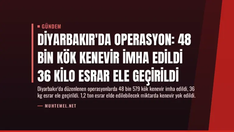 Diyarbakır'da Operasyon: 48 Bin Kök Kenevir İmha Edildi 36 Kilo Esrar Ele Geçirildi