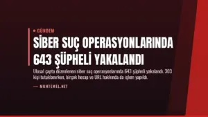 Siber Suç Operasyonlarında 643 Şüpheli Yakalandı