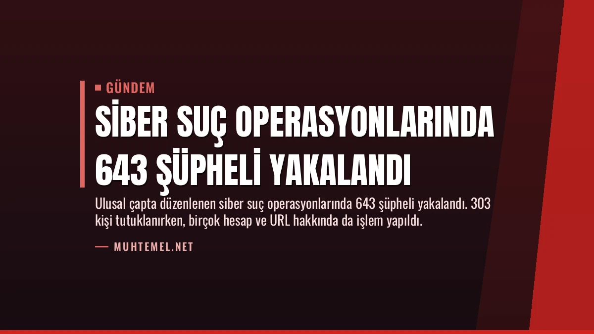 Siber Suç Operasyonlarında 643 Şüpheli Yakalandı