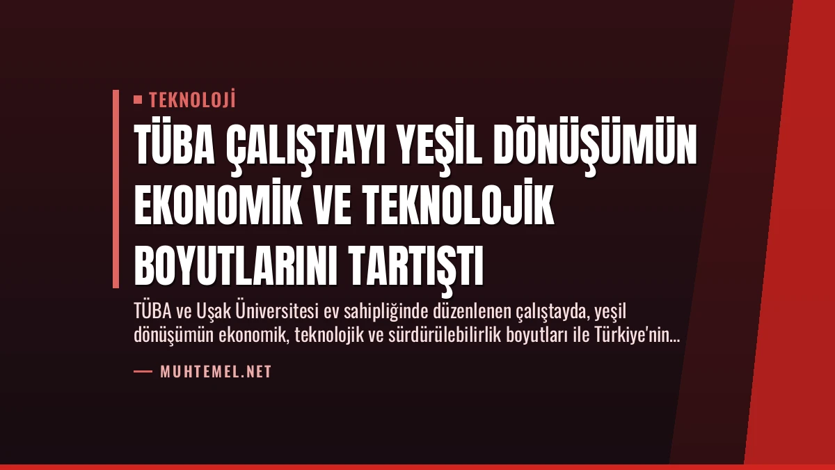 TÜBA Çalıştayı Yeşil Dönüşümün Ekonomik ve Teknolojik Boyutlarını Tartıştı