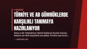 Türkiye ve AB Gümrüklerde Karşılıklı Tanımaya Hazırlanıyor